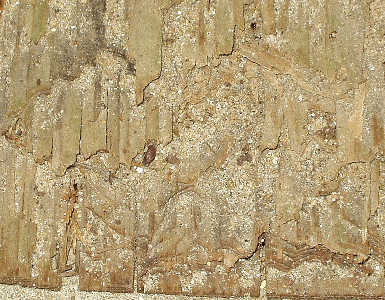 Termite Control